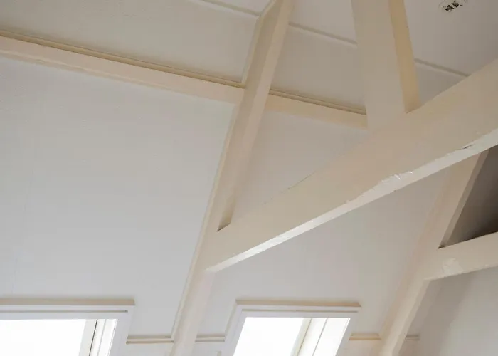 Zenith - Beautiful * Zandvoort